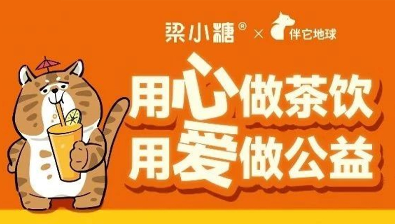「梁小糖×伴它地球」公益月完美收官，爱宠之心温暖整个秋冬