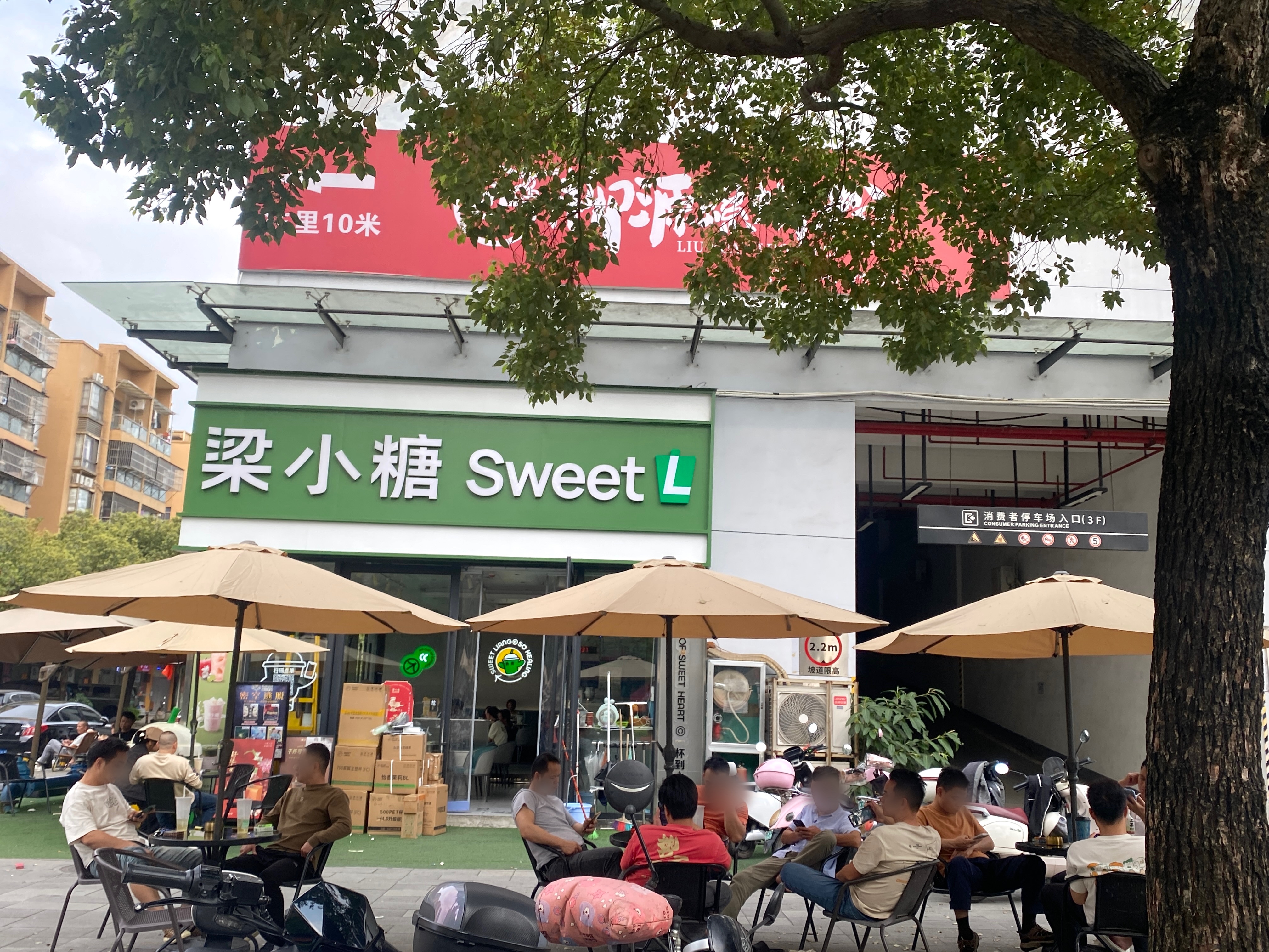 从好一朵·横州茉莉到白兰茉莉抹茶酪乳：梁小糖茉莉鲜花家族全品解读